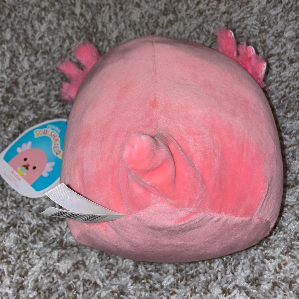 Archie the squishmallows - Picture 3 of 5
